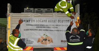 ANKARA'DAN HATAY'A FİDANLAR CAN OLACAK