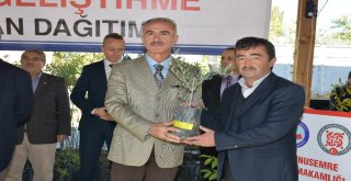 Manisada Meyveciliğe 6 Bin 410 Fidan Desteği