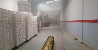 Aydın Nazillide Fabrika Yangını