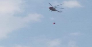 Anız Yangını Ormana Sıçradı