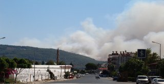 Kumlucada Başlayan Yangın, Adrasana Yayıldı