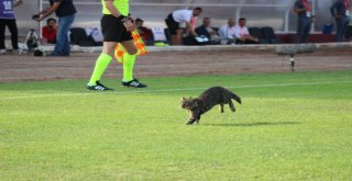 Spor Toto 1. Lig: Hatayspor: 0 - Osmanlıspor: 0