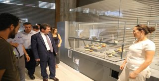 Vali Tavlıdan Troya Müzesinde İnceleme