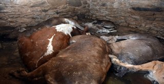 Sıcaktan Sığındıkları Kulübede Telef Oldular