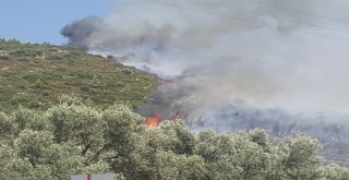 Bodrumda Yangın Sonrası Korkunç Manzara