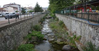 Niksarda Balık Ölümleri Vatandaşları Korkuttu