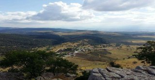 Serinlemek İçin Girdiği Gölette Bataklığa Saplandı