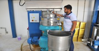 Harran Üniversitesi Bölgenin Zeytinyağı İhtiyacını Karşılıyor
