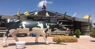 Konyada Kurulan Otağda Yörük Kültürü Yeniden Yaşatılıyor