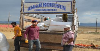 Muşta Saman Sevkıyatı Başladı