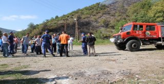 Kastamonuda Çıkan Orman Yangını Helikopter İle Söndürüldü