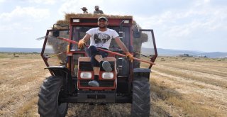 Karsta Sıcak Havada Çiftçilerin Ot Toplama Mesaisi