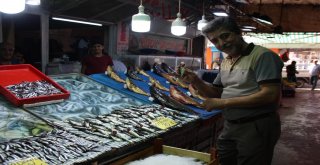 Deniz Balıkları, Denize Kıyısı Olmayan Şehirlerde Yerini Almaya Başladı