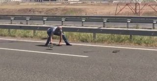 Canını Hiçe Saldı, Otoyoldan Lastik Topladı