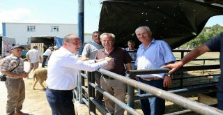 Bigada Ücretsiz Kesim Noktaları Oluşturuldu