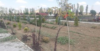 Sungurluda Park Ve Bahçeler Bayrama Hazırlanıyor