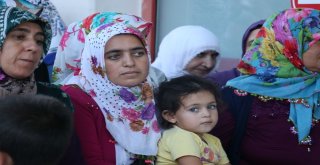 Adanada İlk Hacı Kafilesi Coşkuyla Karşılandı