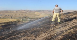 Mangal Ateşi Çam Ağaçlarını Kül Etti