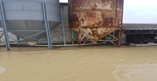 Kaynarcadaki Sel Felaketinde 17 Bin Tavuğu Telef Etti
