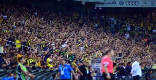 Spor Toto Süper Lig: Fenerbahçe: 2 - Bursaspor: 1 (Maç Sonucu)