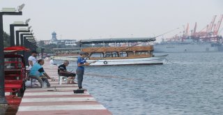 Tehlikeyi Bile Bile Atlıyorlar