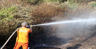 Çalılık Alanda Çıkan Yangın 10 Dönümlük Araziyi Küle Çevirdi