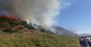 Sökede Arazi Yangını