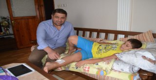 İnegölde Başı Boş Köpekler Dehşet Saçmaya Devam Ediyor