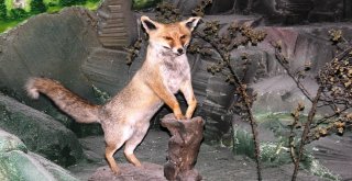 Çamlıdere Doğa Ve Hayvan Müzesi Ziyaretçilerin Yoğun İlgisini Çekiyor