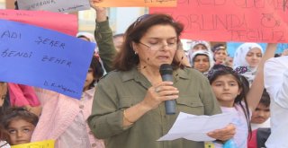 Vanda İcralık Konut Gerginliği