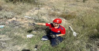 Boruya Sıkışan 4 Kaplumbağayı İtfaiye Kurtardı