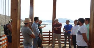 Bafa Gölünde Kuş Gözlem Terası Yapılıyor