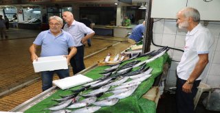 Balıkçılar Denizden Umutlu