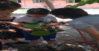 Farklılık Zenginliktir Yaz Kulübü Sona Erdi