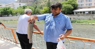 Yeşilırmak İlk Defa Bomboş Kaldı