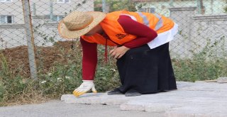 Yolları Parke Taşıyla Dantel Gibi İşlediler