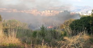 Antalyada Konyaaltı Sahiline Yakın Alanda Orman Yangını