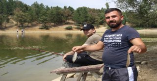 Kütahyada Esrarengiz Balık Ölümleri