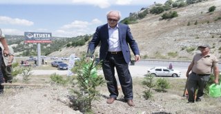 Başkan Saraçoğlu, Fidan Dikip Can Suyu Verdi