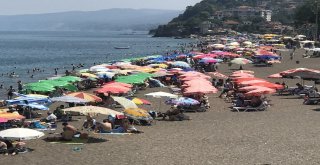 Akçakocada Plajlar Tıklım Tıklım