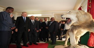 Cumhurbaşkanı Erdoğan, Zambiyalı Mevkidaşı İle Görüştü