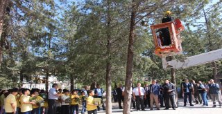 Bucakta Okul Bahçelerine Kuş Yuvası