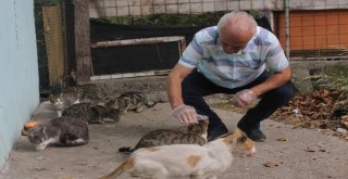 (Özel Haber) Bir Çok Kişi Öldürmeye, O Yaşatmaya Çalışıyor