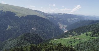 Uzungöl ‘Teleferik Projesinde İlk Adım Atıldı