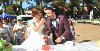 Öğretmen Gelin-Damat Pasta Yerine Karpuz Kesti