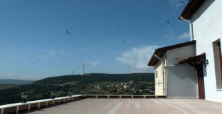 Belende Göçmen Kuşların Geçiş Güzergahına Kuş Gözlem Merkezi
