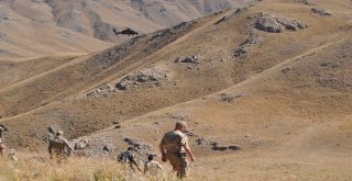Üç İli Kapsayan Faraşin Yaylası Operasyonu Tüm Hızıyla Devam Ediyor