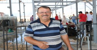 Büyükşehirden Ücretsiz Kurban Kesimi