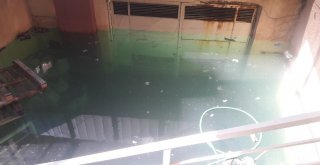 (Özel) Güngörende Yüzme Şampiyonasında Havuz Problemi