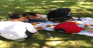 Parkta Yatan 17 Afgan Aileye Devlet Sahip Çıktı